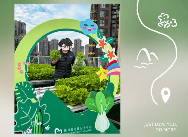 在成都月子中心坐月子，吃上自己采摘的新鮮有機蔬菜啦！4
