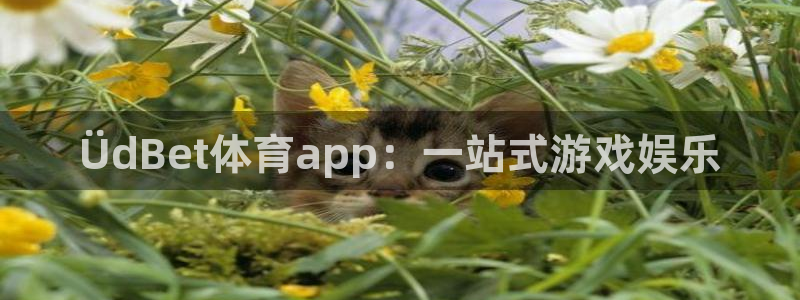 ÜdBet体育app：一站式游戏娱乐