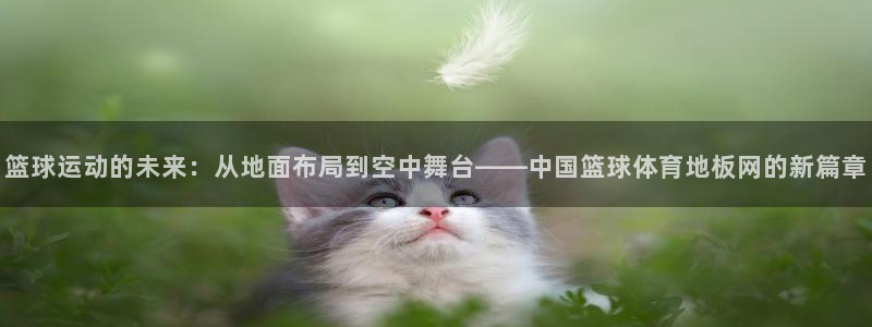 篮球运动的未来：从地面布局到空中舞台——中国篮球体育地板网的新篇章