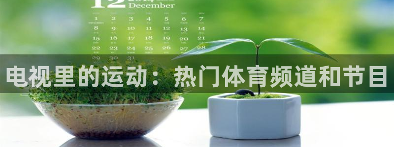 电视里的运动：热门体育频道和节目