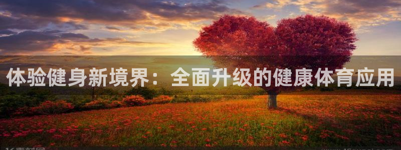 体验健身新境界：全面升级的健康体育应用