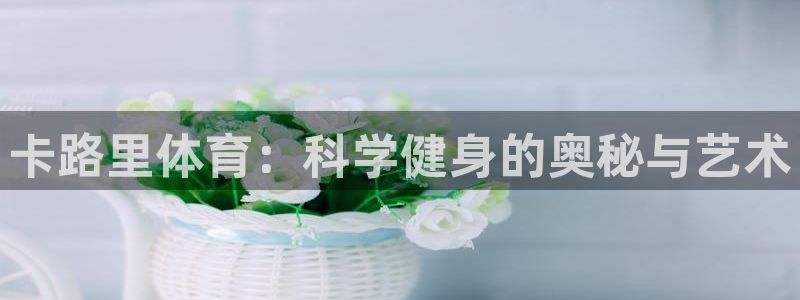 卡路里体育：科学健身的奥秘与艺术