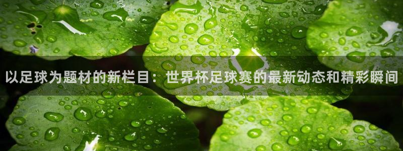 以足球为题材的新栏目：世界杯足球赛的最新动态和精彩瞬间