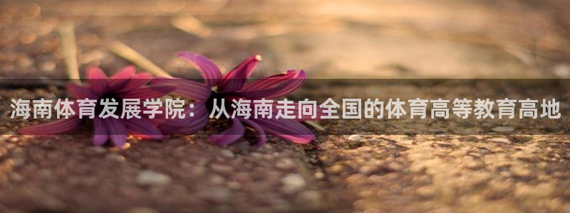 海南体育发展学院：从海南走向全国的体育高等教育高地