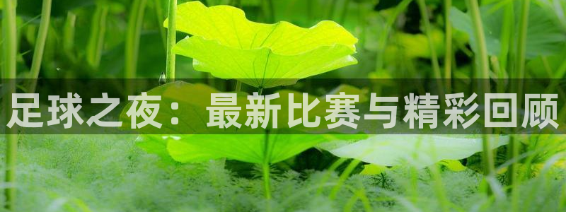 6686体育网官网入口：足球之夜：最新比赛与精彩回顾