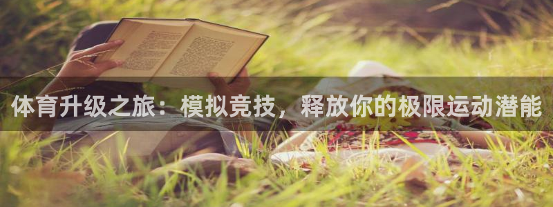 体育6686