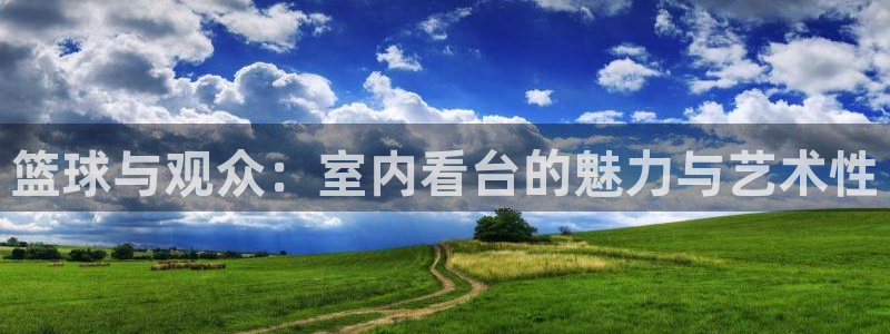 6686体育平台合法吗：篮球与观众：室内看台的魅力与艺术性