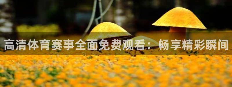 6686体育平台app：高清体育赛事全面免费观看：畅享精彩瞬间