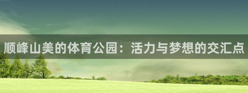 6686体育官网下载：顺峰山美的体育公园：活力与梦想的交汇点