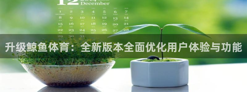 6686官网网页版：升级鲸鱼体育：全新版本全面优化用户体验与功能