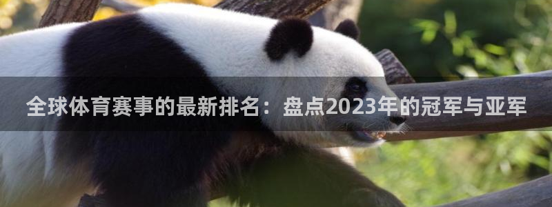 6686体育人口：全球体育赛事的最新排名：盘点2023年的冠军与亚军