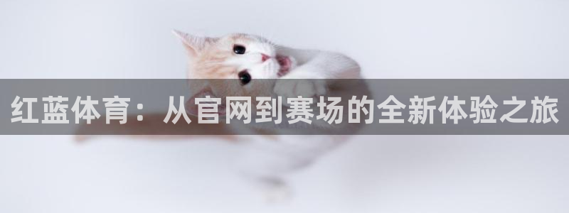 6686体育卡车网站：红蓝体育：从官网到赛场的全新体验之旅