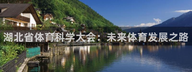 6686官方版app下载：湖北省体育科学大会：未来体育发展之路