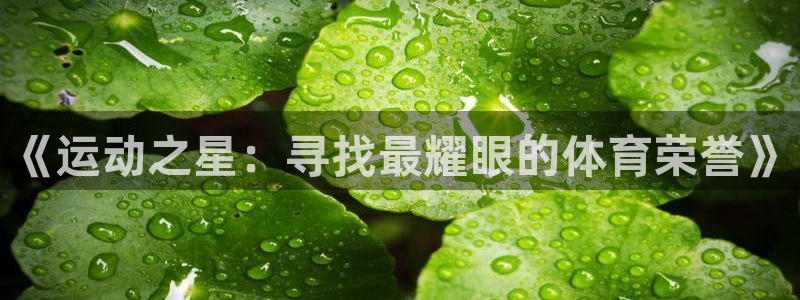 6686体育app官网