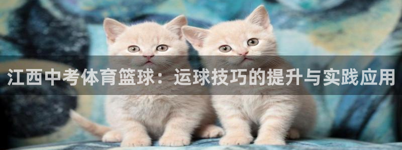 6686体育app官网下载：江西中考体育篮球：运球技巧的提升与实践应用