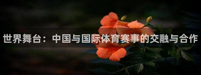 6686体育app官网下载：世界舞台：中国与国际体育赛事的交融与合作